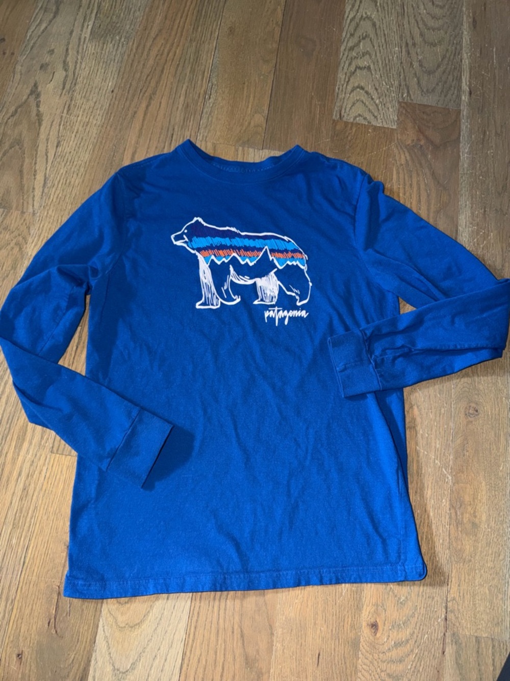 Patagonia Youth XL Blue Long-Sleeved Graphic Organic T-Shirt Fitz Roy Bear